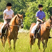 Horse Back Riding
