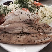 Southern Rays Bream (Brama Australis)