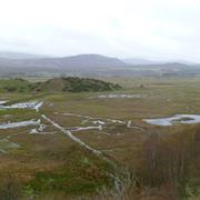 Insh Marshes Bij Kingussie