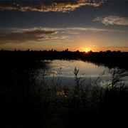 Ouse Fen