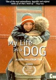 My Life as a Dog