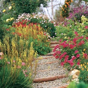 Spend a Day in the Garden