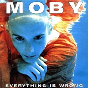 (1995) Moby - Everything Is Wrong