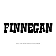 Finnegan