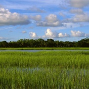 Pickney Island National Wildlife Refuge
