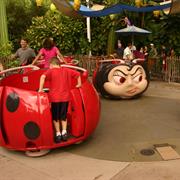 Francis' Ladybug Boogie