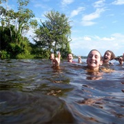Swim in the Amazon
