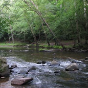 William B. Umstead State Park, North Carolina