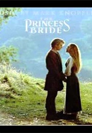 Mark Knopfler: Storybook Love (1987)