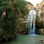 Ein Gedi, Isreal