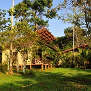 Maquenque Eco Lodge, Costa Rica