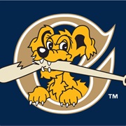 Charleston Riverdogs (A)