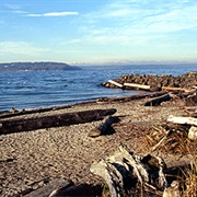 Saltwater State Park (Des Moines, Washington)