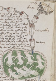 The Voynich Manuscript (Unknown)