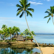 Get Out! Go Somewhere Warm