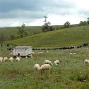 Piedmont Region, Virginia