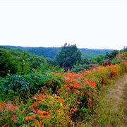 Sica Hollow State Park, South Dakota