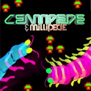 Centipede & Millipede