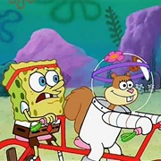 Extreme Sport Player