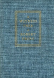 A Witness Tree (Robert Tree)
