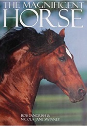 The Magnificent Horse Book (Bob Langrish)