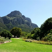 Kirstenbosch National Botanical Garden