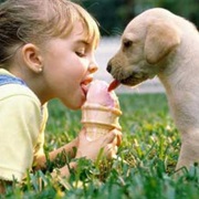 Enjoy Some Ice-Cream