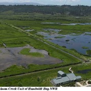 Humboldt Bay National Wildlife Refuge