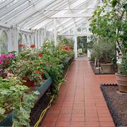 Birmingham Botanical Gardens