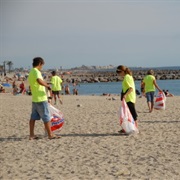 Take Part in a Nature Cleaning Operation