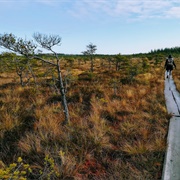 Valkmusa National Park
