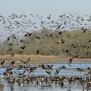 William L. Finley National Wildlife Refuge
