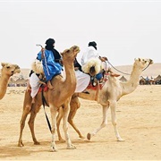Moussem of Tan-Tan, Morocco