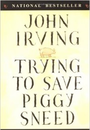 Trying to Save Piggy Sneed (John Irving)