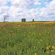 Felton Prairie, Minnesota