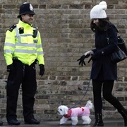 Ask a Police Officer for Directions