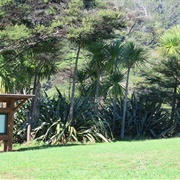 Pae O Te Rangi Campground