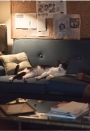 Jersey, Can You Ever Forgive Me (2018)