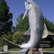 World's Largest Artificial Trout, Adaminaby, Australia