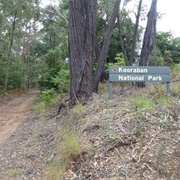 Kooraban National Park (NSW)
