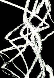 Free Radicals (1958)