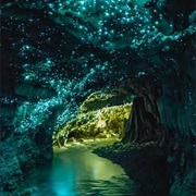 Go Tubing Trough the Glowworm Cave