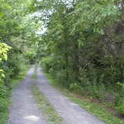 Wards Point Archeological Site