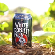 White Rabbit