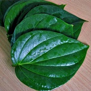 BETEL LEAVES