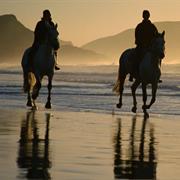 Ride a Horse on the Beach