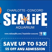 Charlotte Sea Life Aquarium
