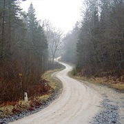 Small Kangari (Mazie Kangari)