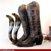 Cobra Cowboy Boots