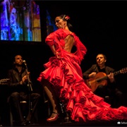 Flamenco Show, Madrid